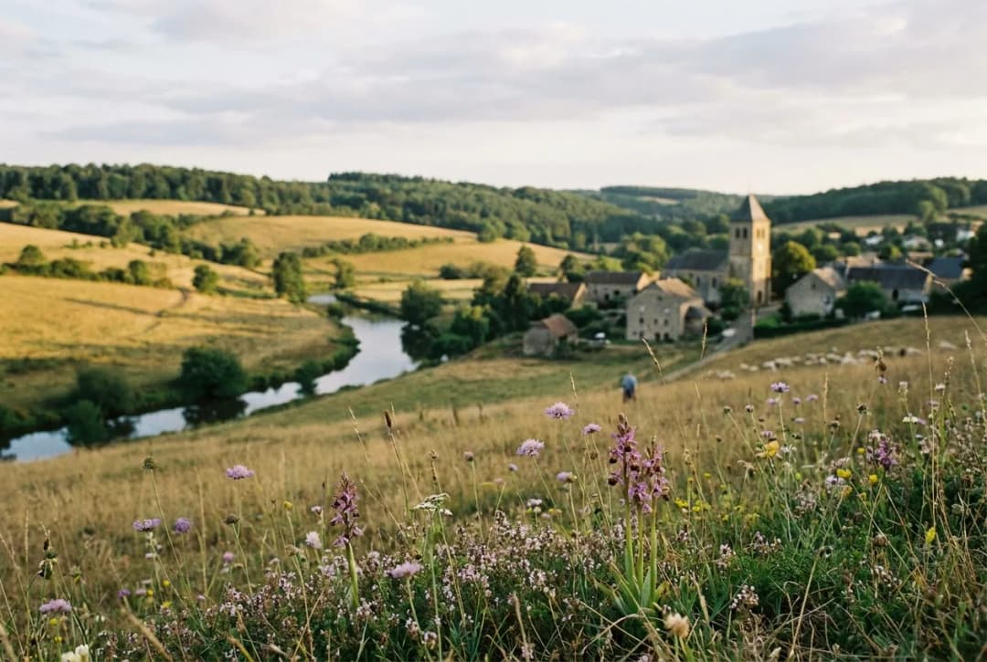 Les Prairies Sèches de Gaume : Un Éden de Biodiversité au Cœur de la Wallonie