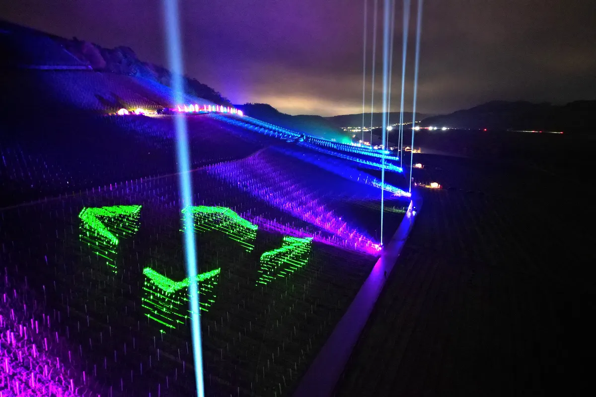Wine Lights Enjoy: nocturnal walk through illuminated Moselle vineyards