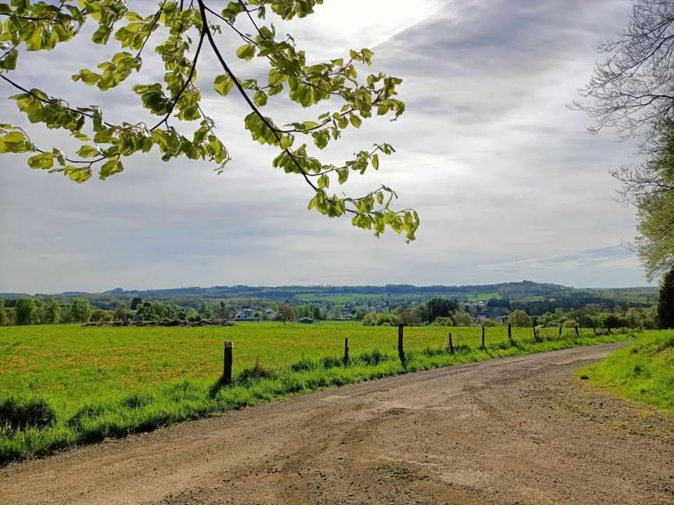 Balade Léo: Entre Gaume et Pays d'Arlon