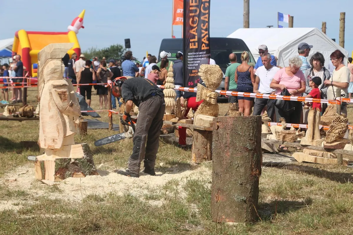 Holzfest: Holzfäller-Wettbewerb, Kettensägenkunst und Oldtimer-Traktoren