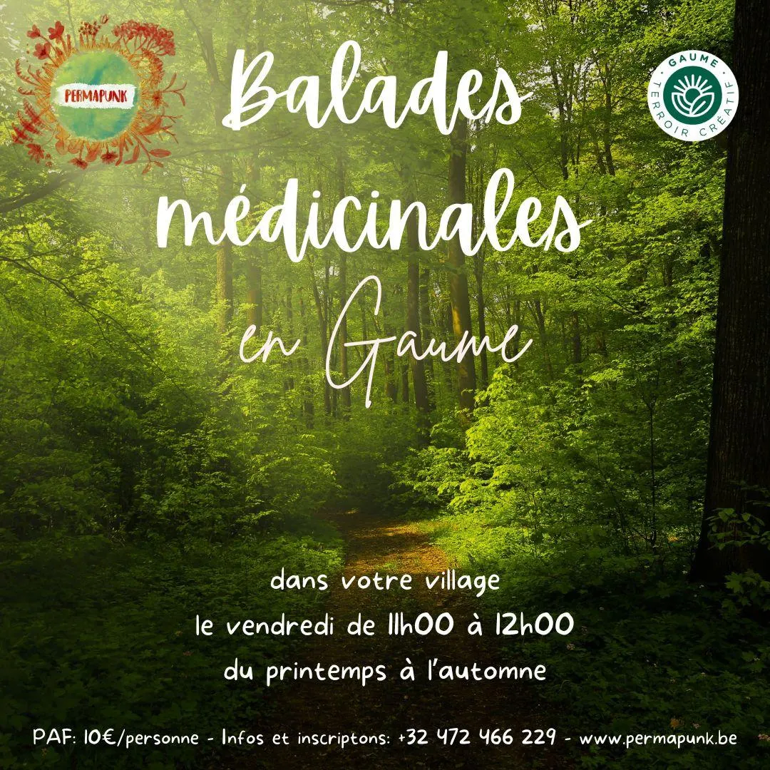 Balade médicinale en Gaume – 28 août 2026
