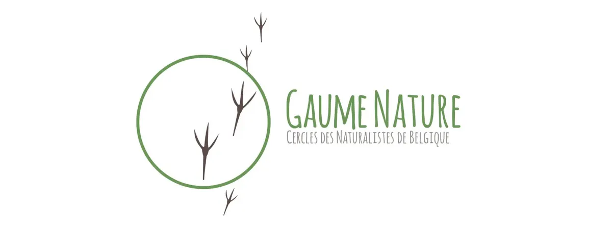 Sorties brame du cerf