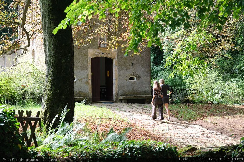 Balade guidée à la découverte d'un vignoble