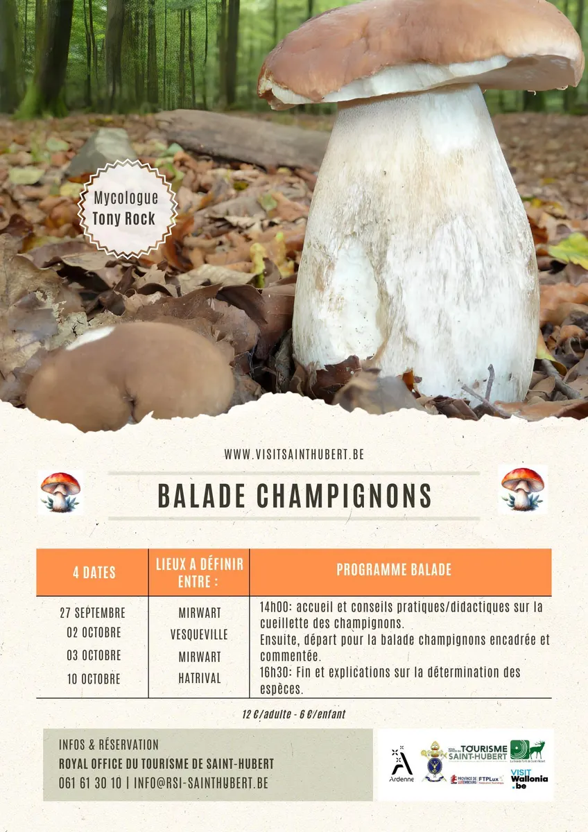 Balade champignons encadrée – Session complète
